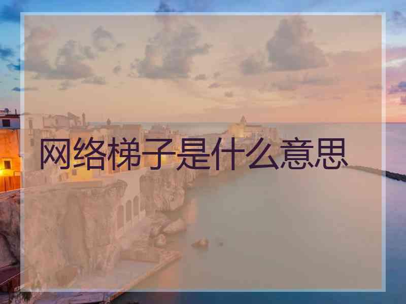 网络梯子是什么意思
