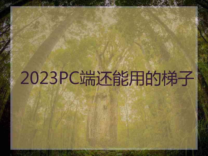 2023PC端还能用的梯子