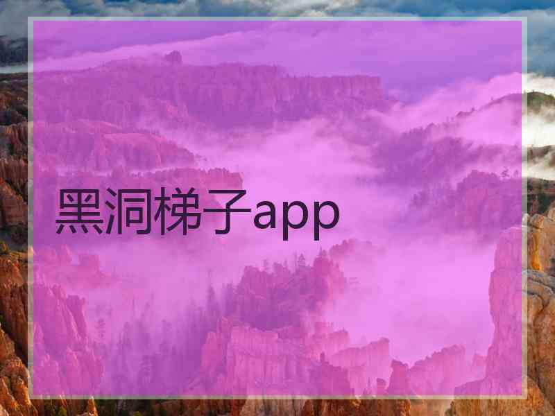 黑洞梯子app