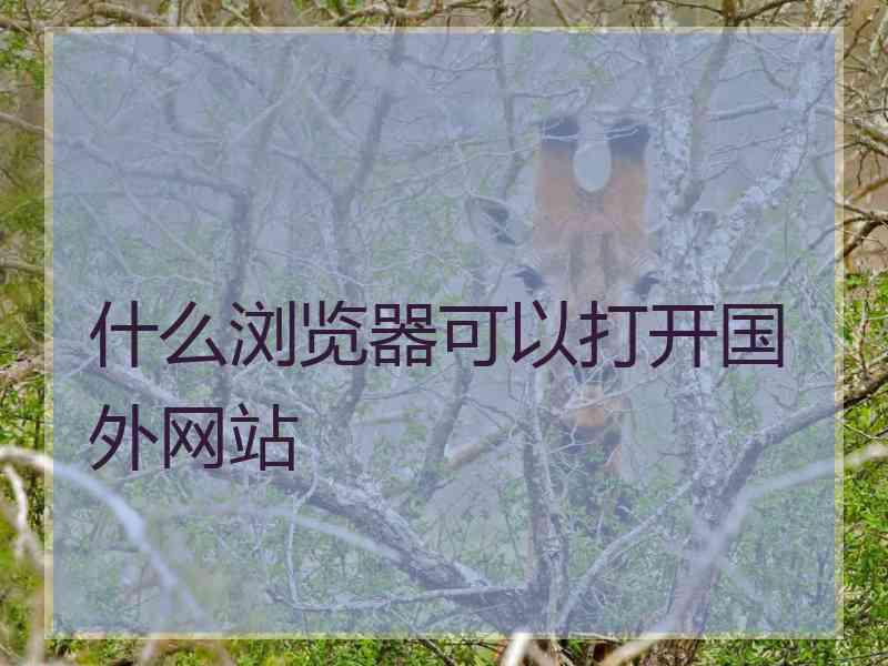 什么浏览器可以打开国外网站