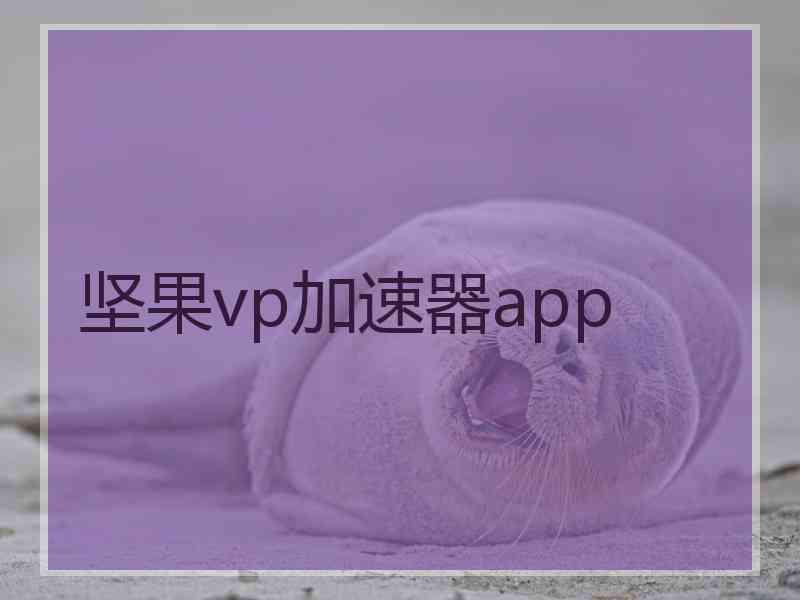 坚果vp加速器app