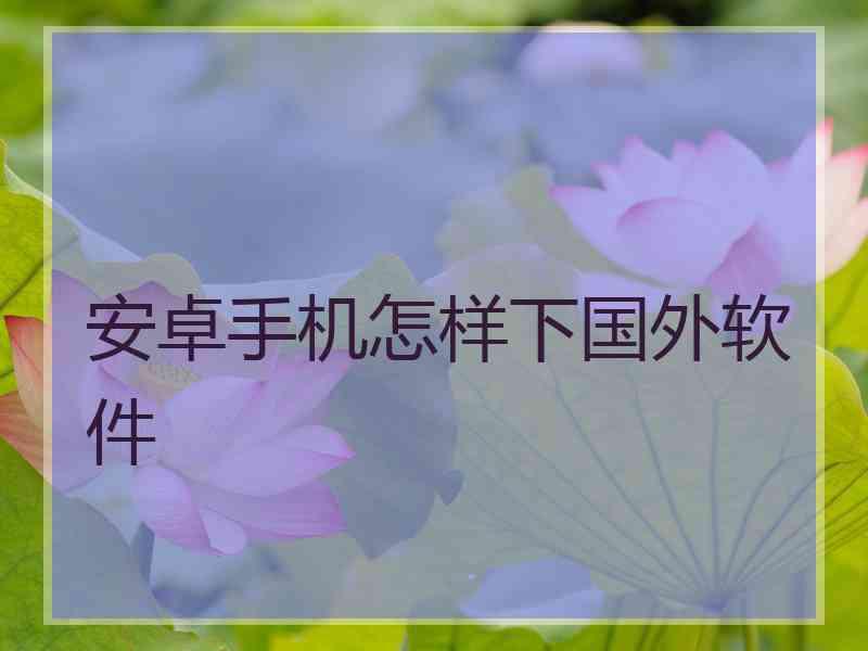 安卓手机怎样下国外软件
