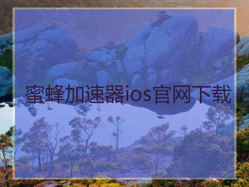蜜蜂加速器ios官网下载