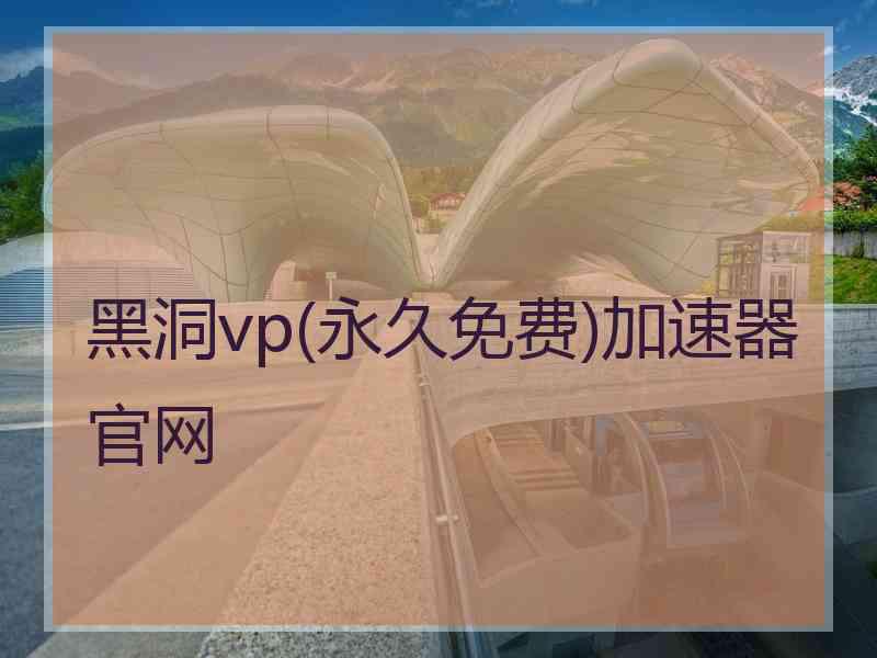 黑洞vp(永久免费)加速器官网