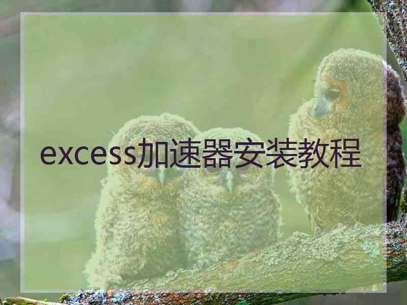 excess加速器安装教程