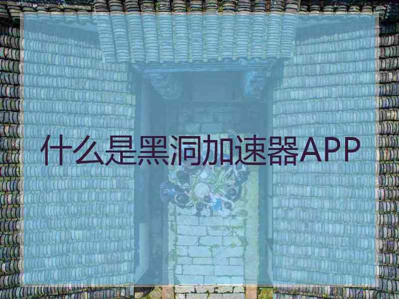 什么是黑洞加速器APP