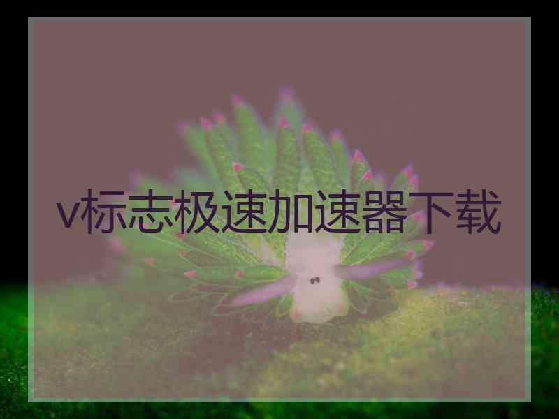 v标志极速加速器下载
