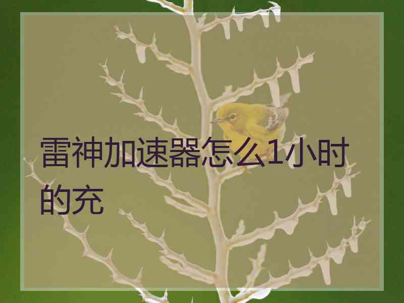 雷神加速器怎么1小时的充