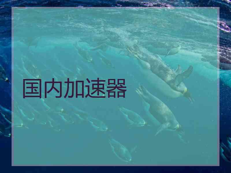 国内加速器