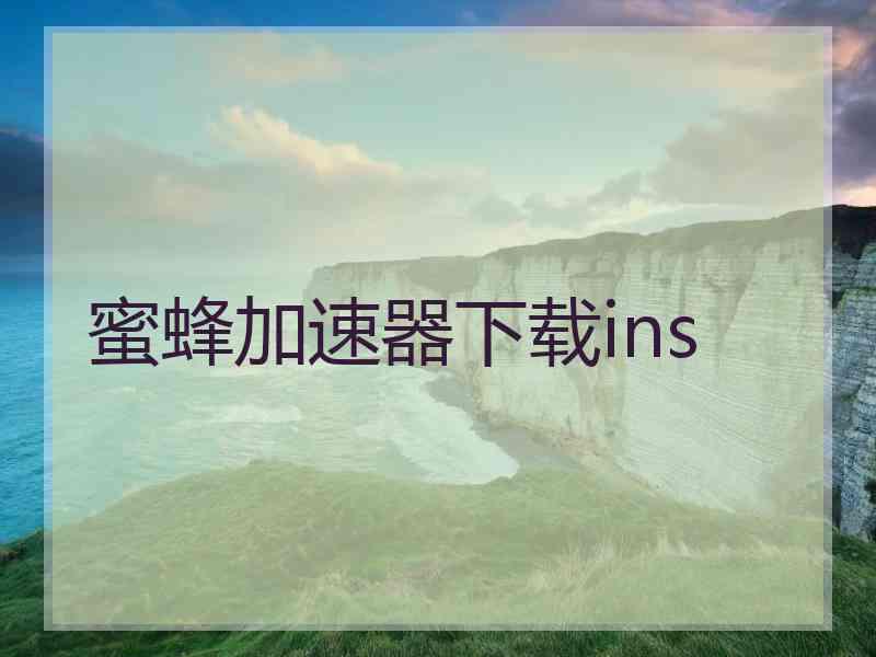 蜜蜂加速器下载ins