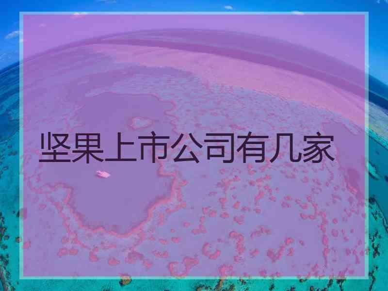 坚果上市公司有几家