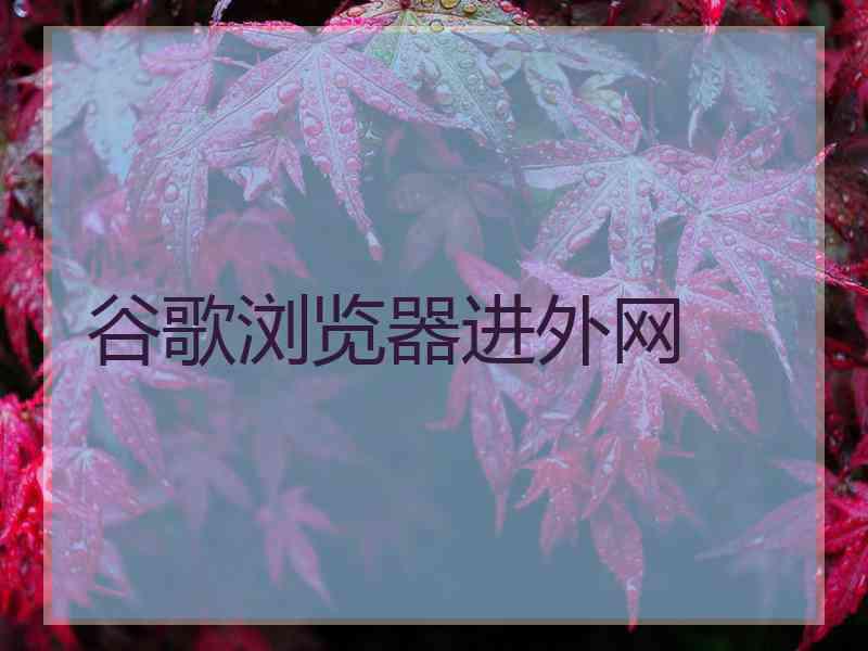 谷歌浏览器进外网