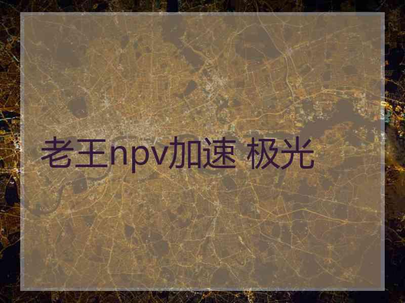 老王npv加速 极光