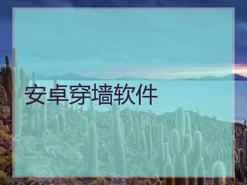 安卓穿墙软件