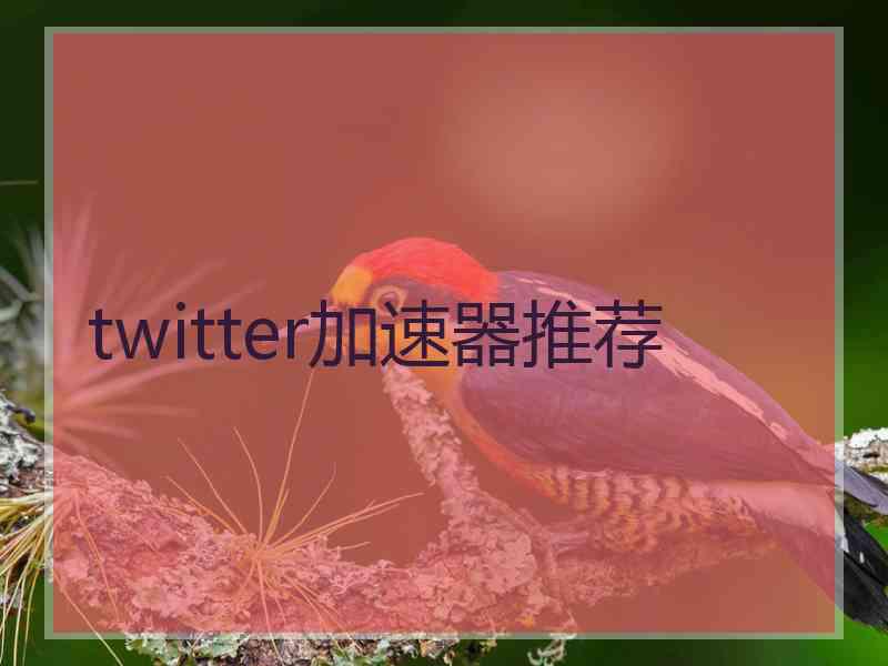 twitter加速器推荐