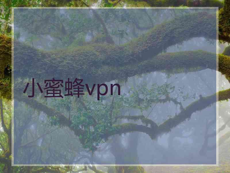小蜜蜂vpn