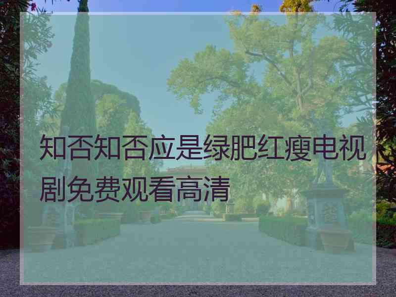 知否知否应是绿肥红瘦电视剧免费观看高清