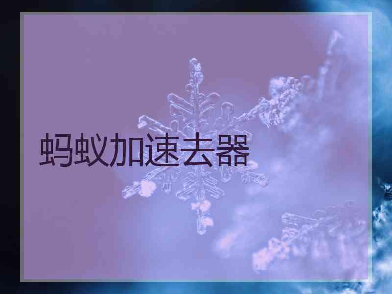 蚂蚁加速去器