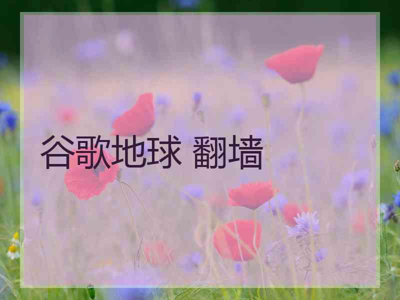 谷歌地球 翻墙
