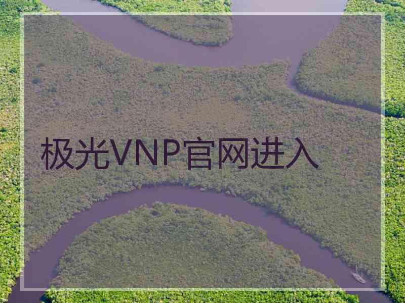 极光VNP官网进入