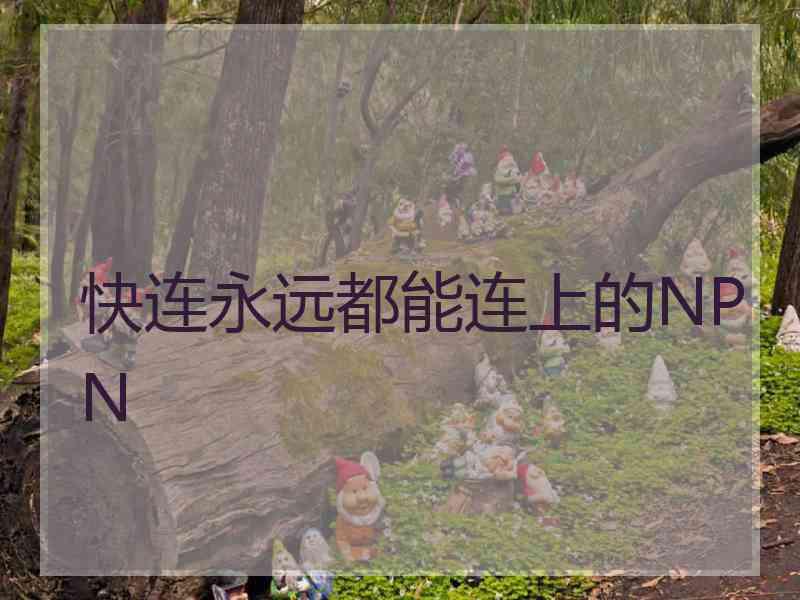 快连永远都能连上的NPN