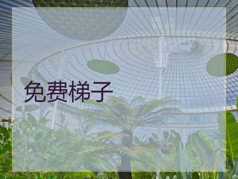 免费梯子