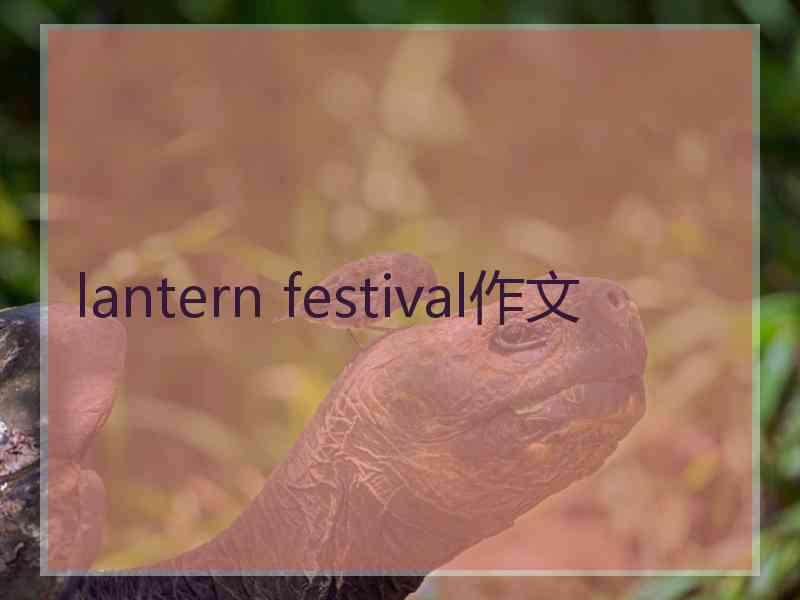 lantern festival作文