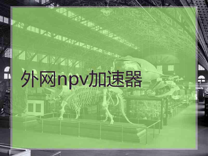 外网npv加速器