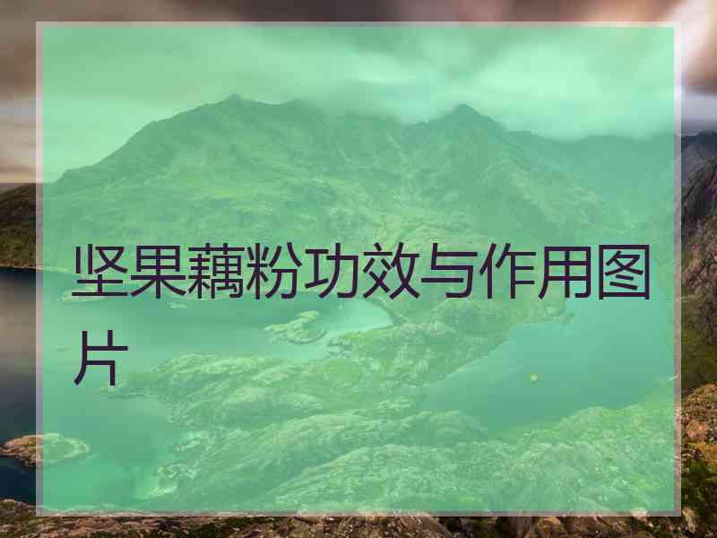 坚果藕粉功效与作用图片