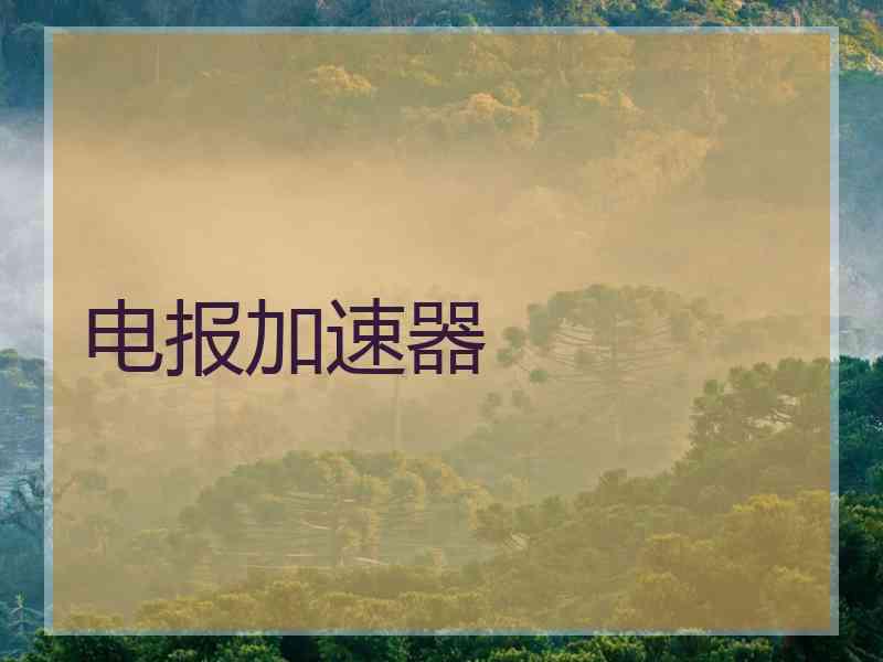 电报加速器