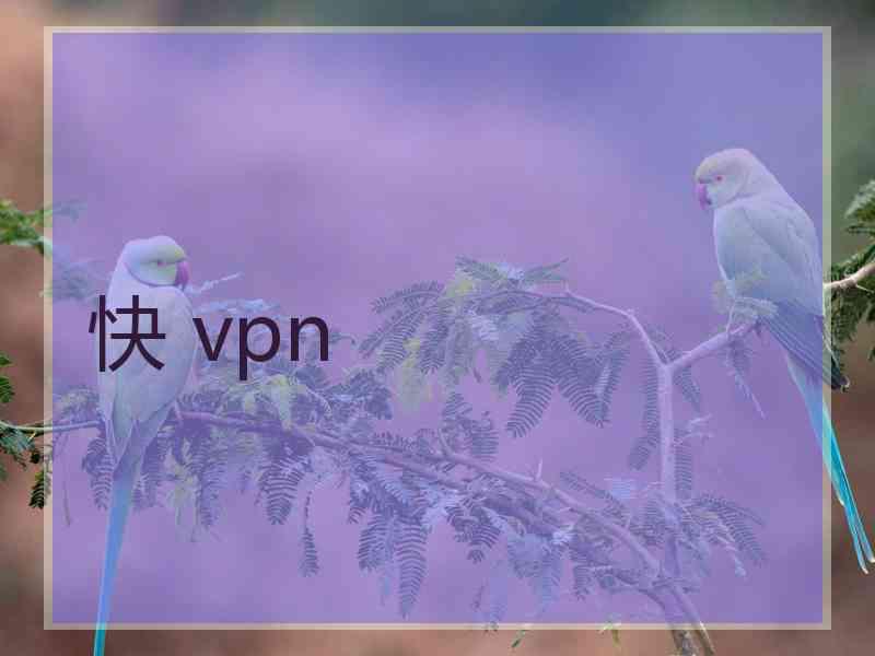 快 vpn