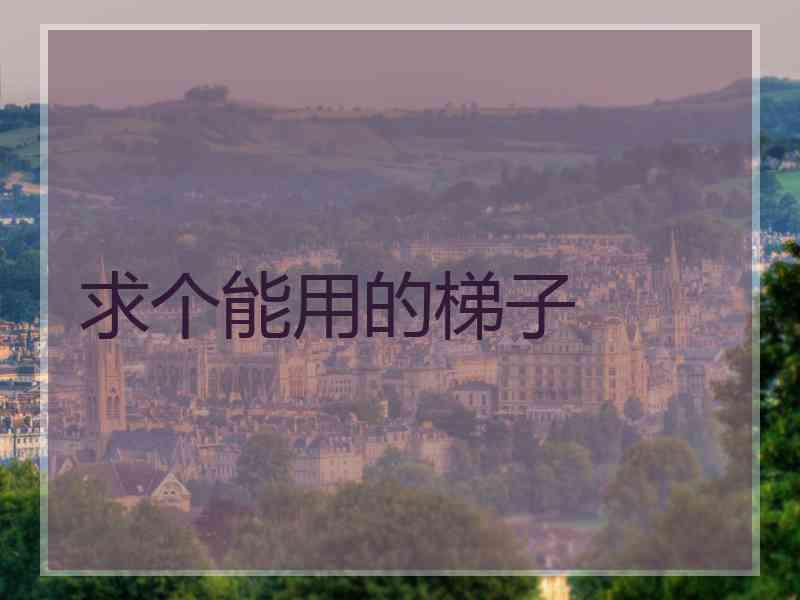 求个能用的梯子