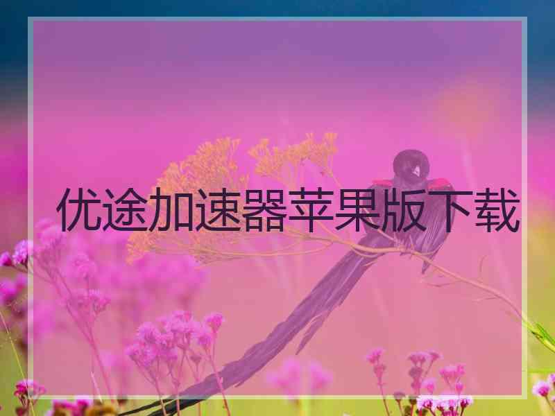 优途加速器苹果版下载