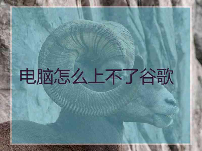电脑怎么上不了谷歌