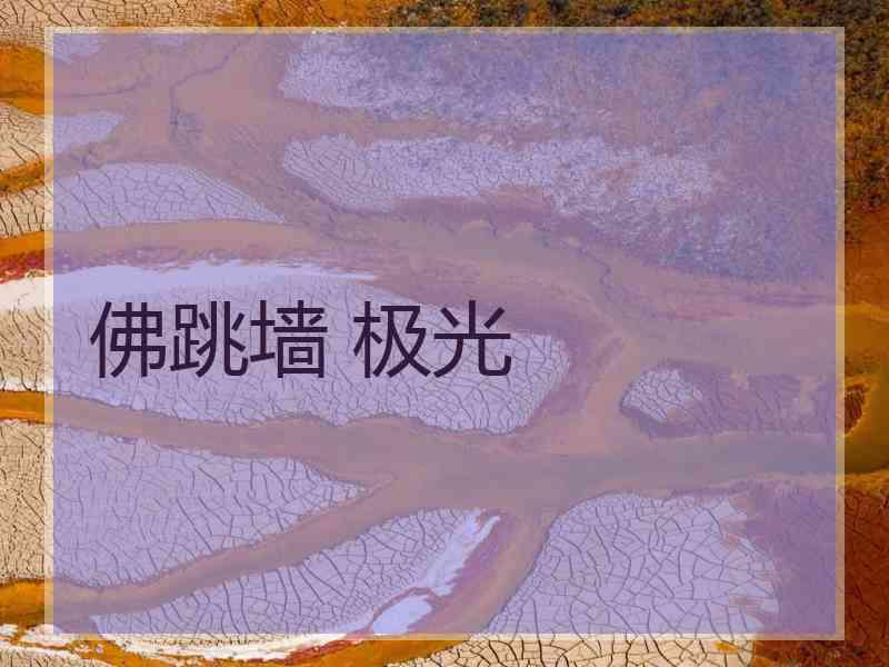 佛跳墙 极光