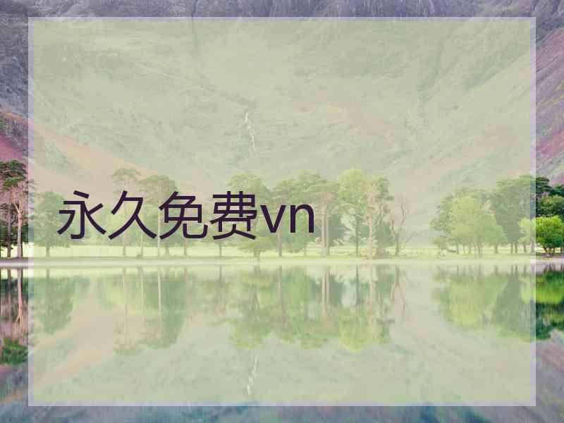 永久免费vn