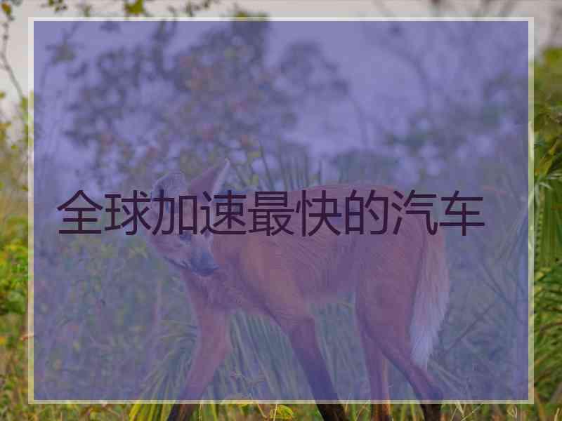 全球加速最快的汽车