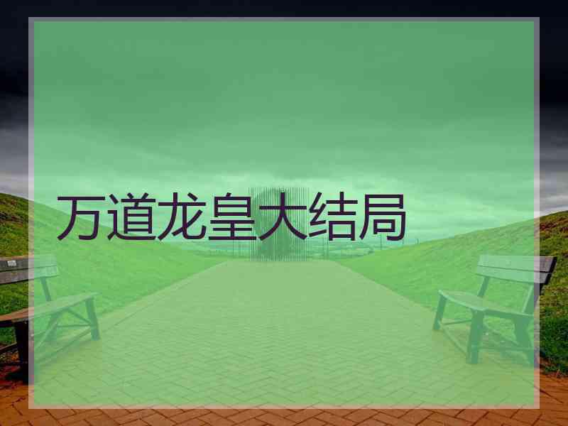 万道龙皇大结局