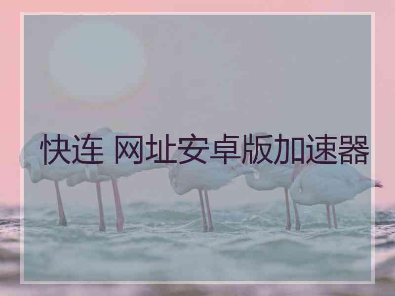 快连 网址安卓版加速器