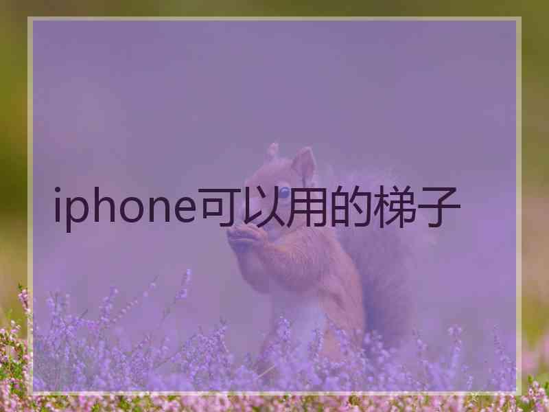 iphone可以用的梯子