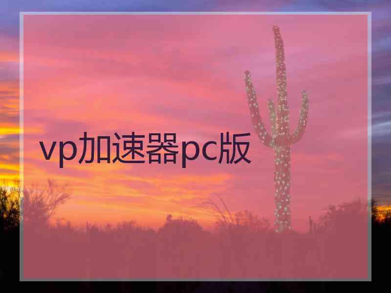 vp加速器pc版