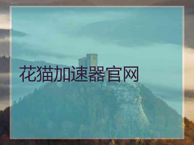 花猫加速器官网