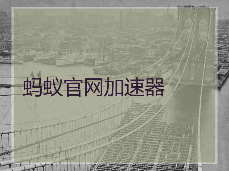 蚂蚁官网加速器