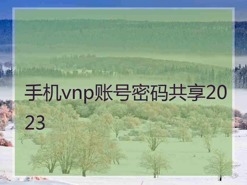 手机vnp账号密码共享2023