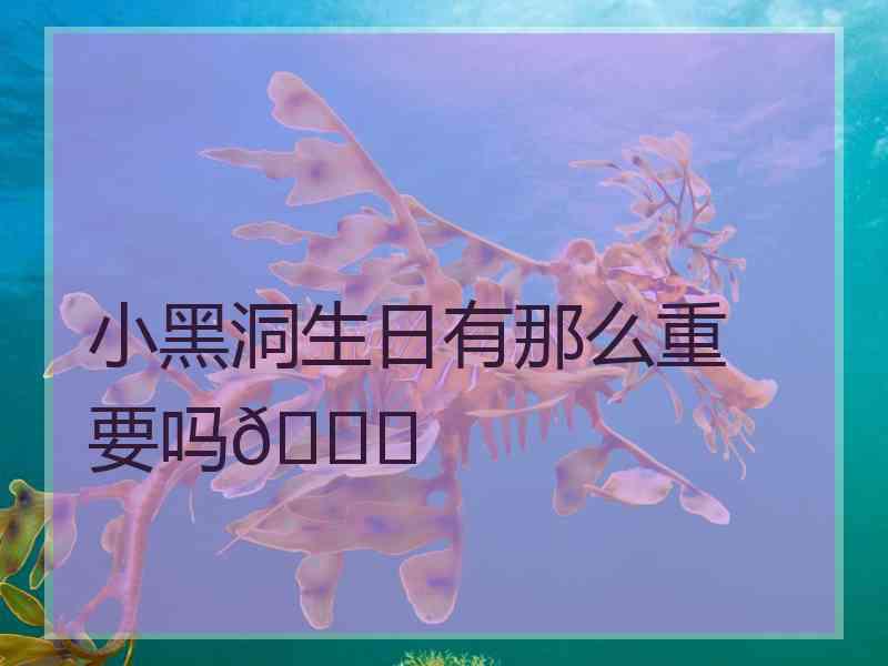 小黑洞生日有那么重要吗😅