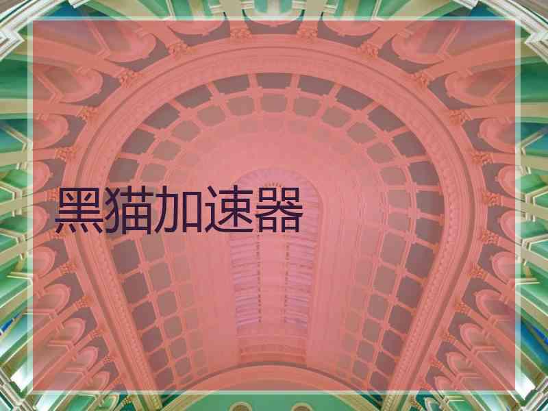 黑猫加速器