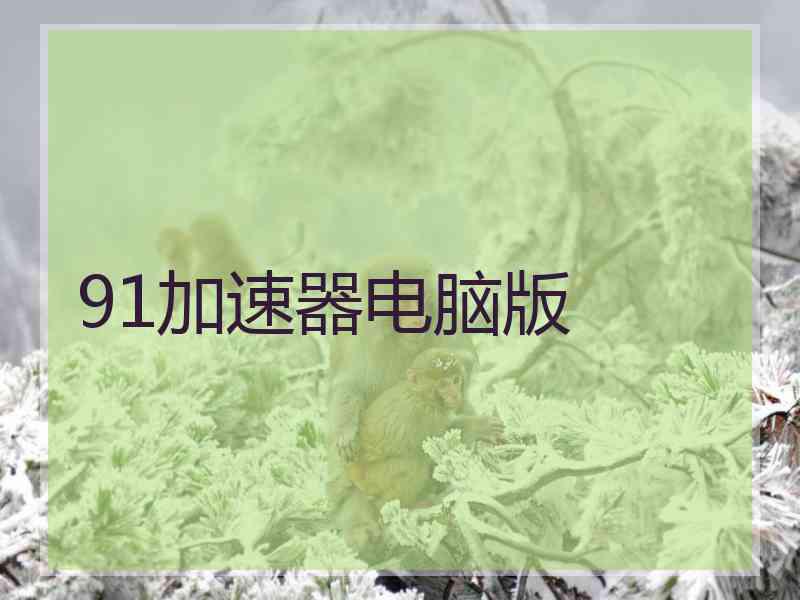 91加速器电脑版
