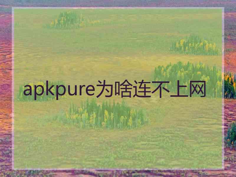apkpure为啥连不上网