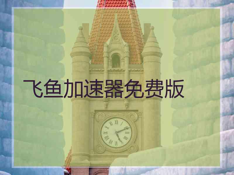 飞鱼加速器免费版