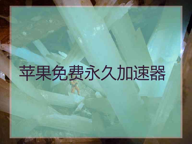 苹果免费永久加速器